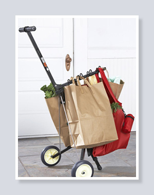 Hook & Go Folding Shopping Cart